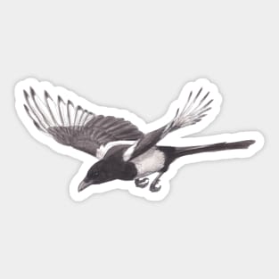 Magpie - Inktober Sticker